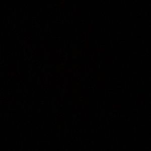 Meet your Posher, Shauntel